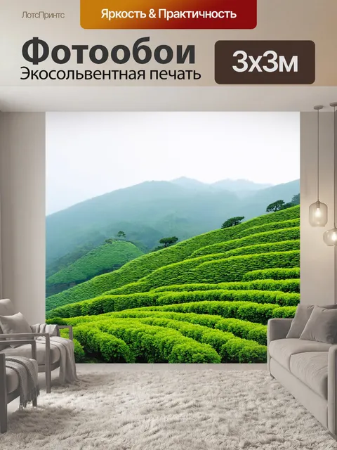Фотообои япония, зеленые чайные плантации на склонах гор, окутанных туманом