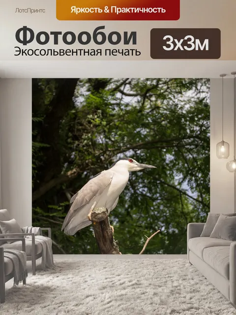 Фотообои Пр