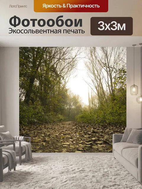 Фотообои Лес