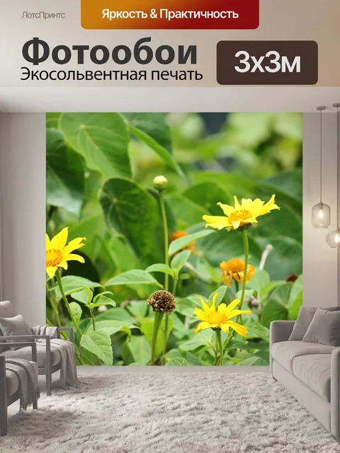 Фотообои одного лепестки подсолнуха