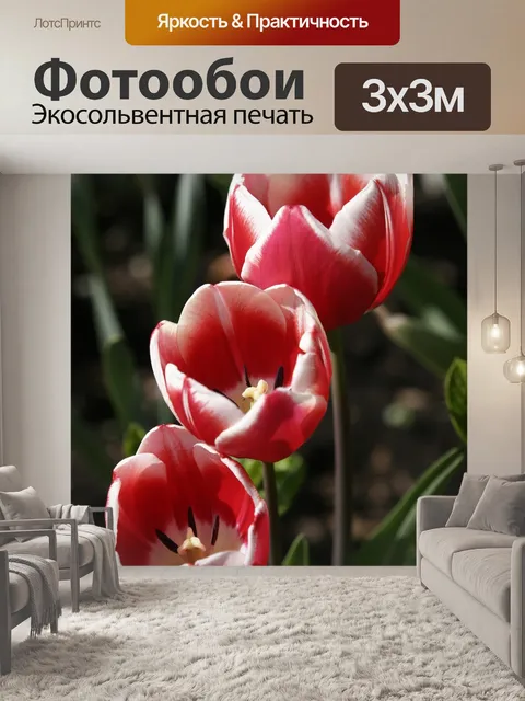 Фотообои Цветы
