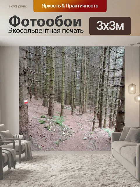 Фотообои Тропа