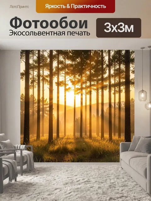 Фотообои Сосновый лес на рассвете