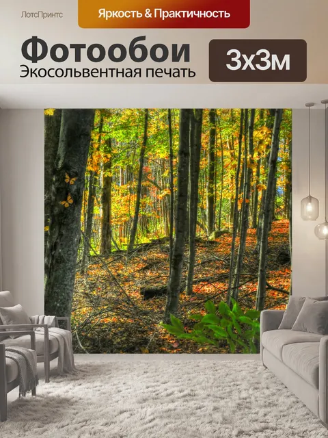 Фотообои Осенний лес