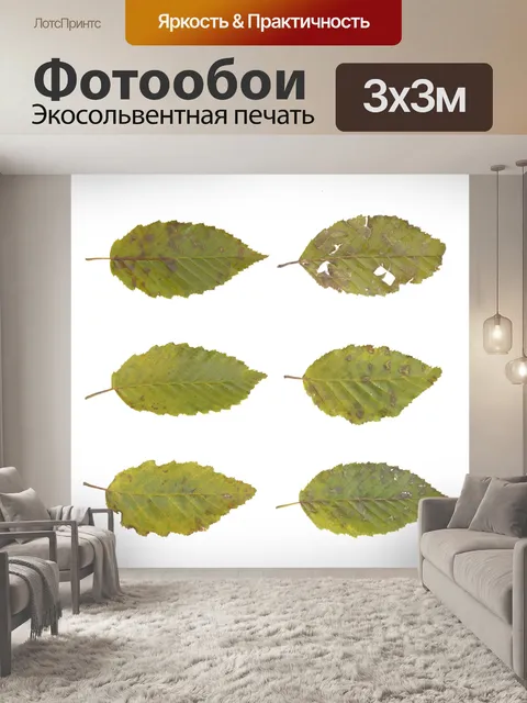 Фотообои Листья