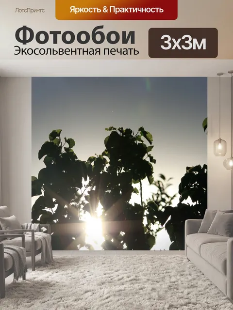 Фотообои Деревья против солнца