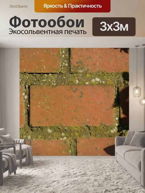 Фотообои Стена