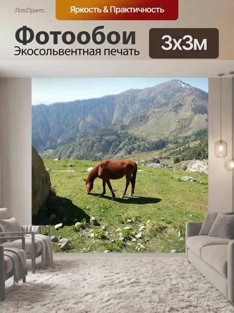 Фотообои Лошадь