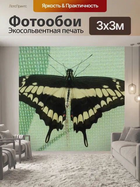 Фотообои Бабочки