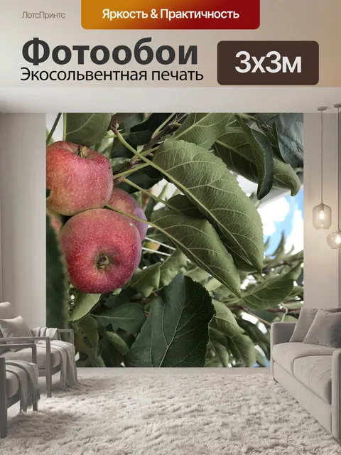 Фотообои Фрукты