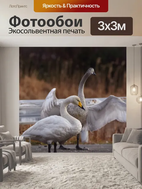 Фотообои Животное