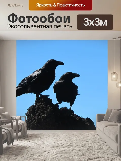 Фотообои Птицы