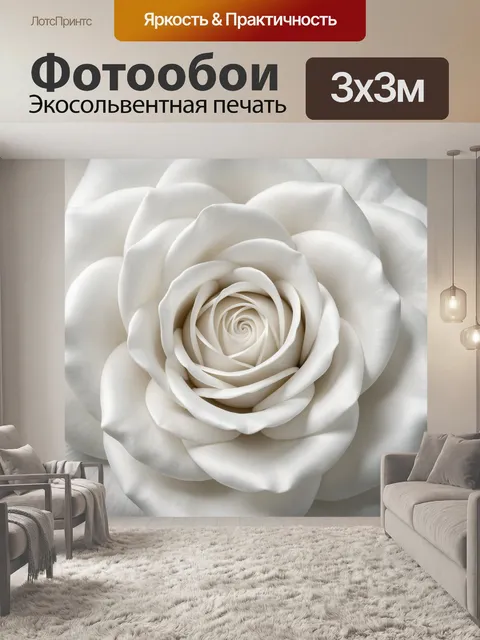 Фотообои Белая роза крупным планом