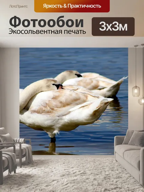 Фотообои Животное
