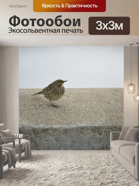 Фотообои Маленький воробей на стене