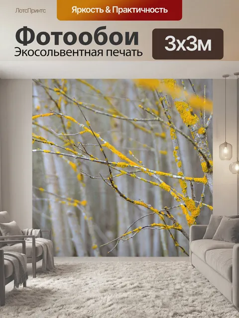Фотообои Лес