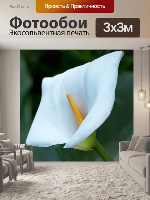 Фотообои Цветы