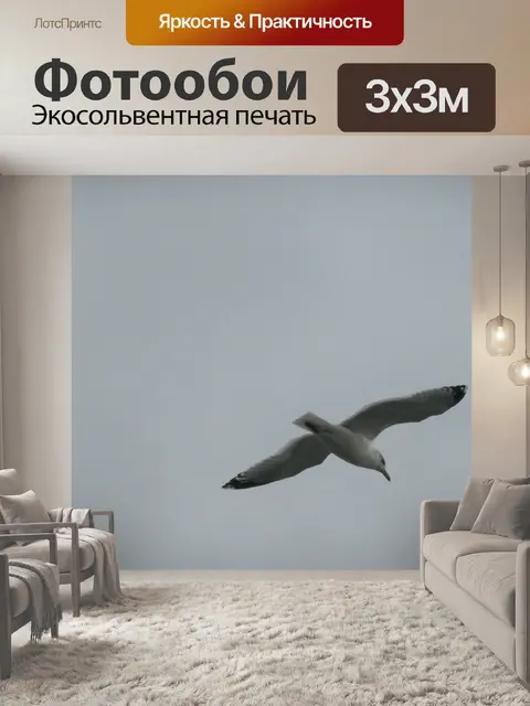 Фотообои Птица в небе