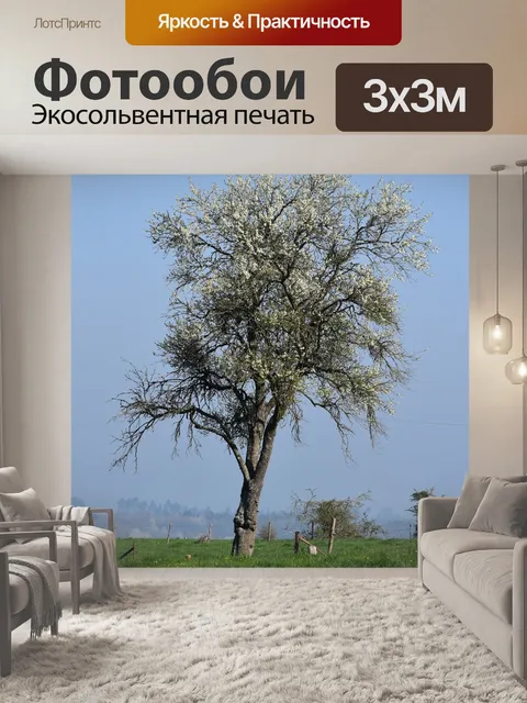 Фотообои Дерево