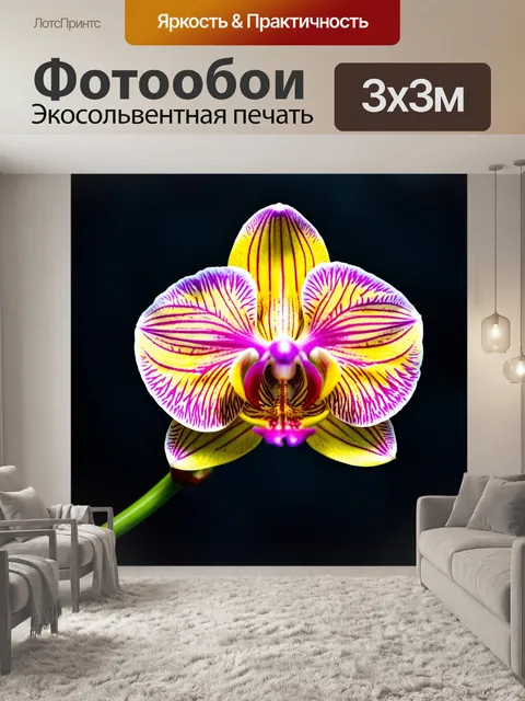 Фотообои орхидея, окрашенная в разные цвета, абстрактный стиль