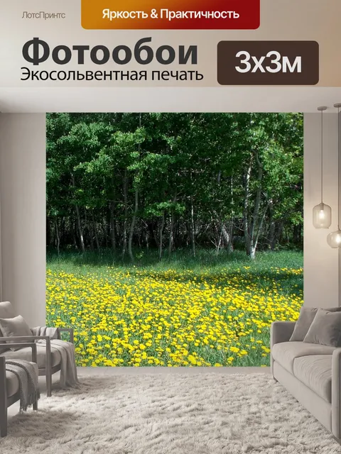 Фотообои Одуванчики