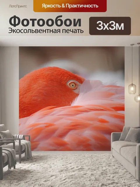 Фотообои Фламинго