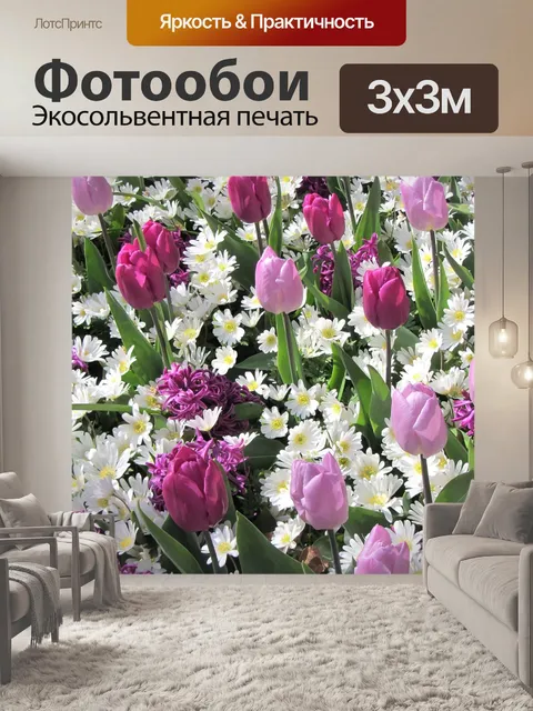 Фотообои Маргаритки