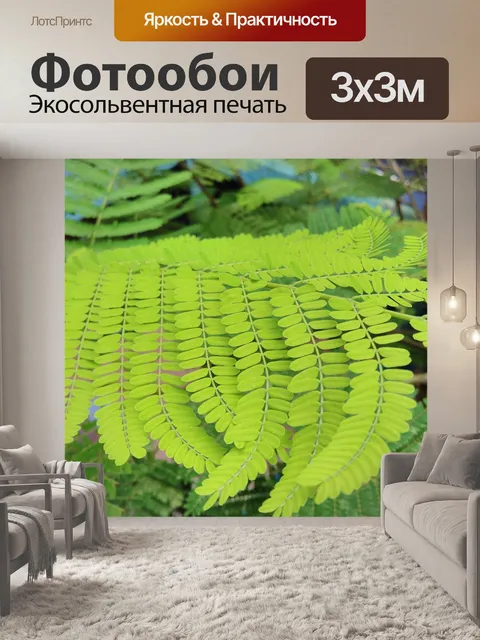 Фотообои Свежий