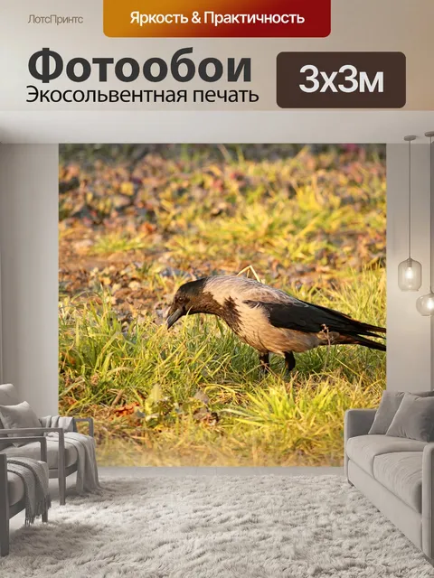 Фотообои Луг