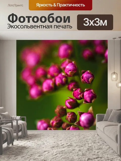 Фотообои Цветы