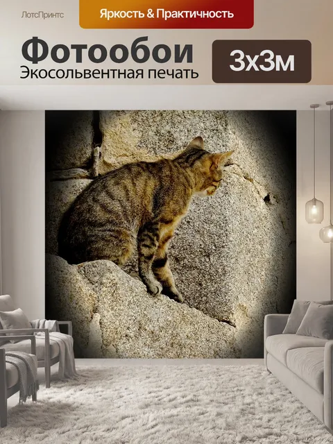 Фотообои Кошки