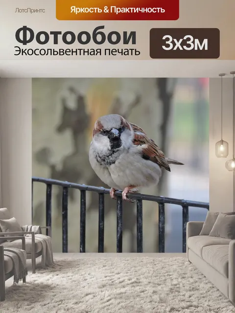 Фотообои Птица