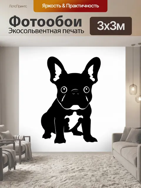 Фотообои изображение французского бульдога норы на белом фоне, выполненное в технике минимализма