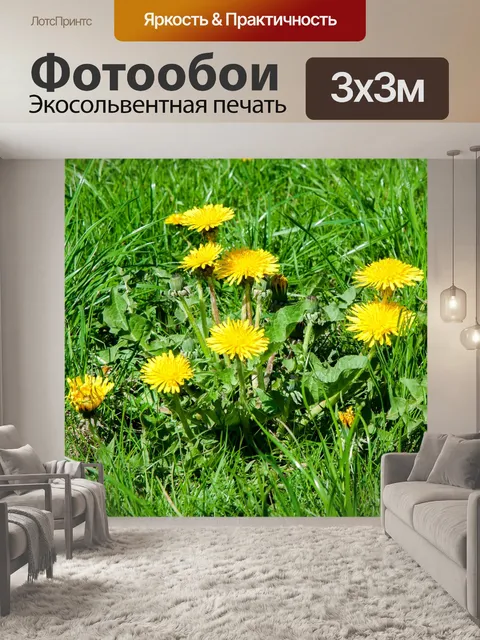 Фотообои Цветы