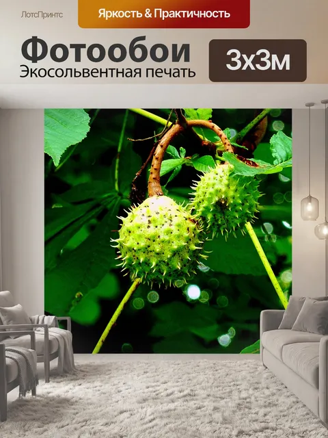 Фотообои Клен