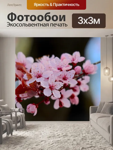 Фотообои Расцветает