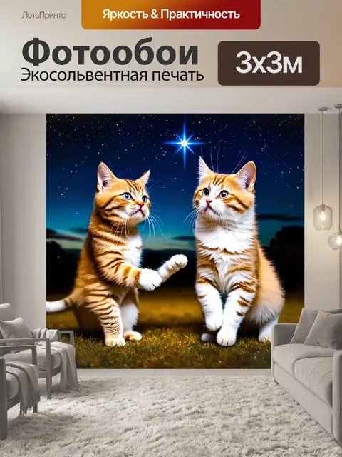 Фотообои кошки, танцующие под звезды в ночное время
