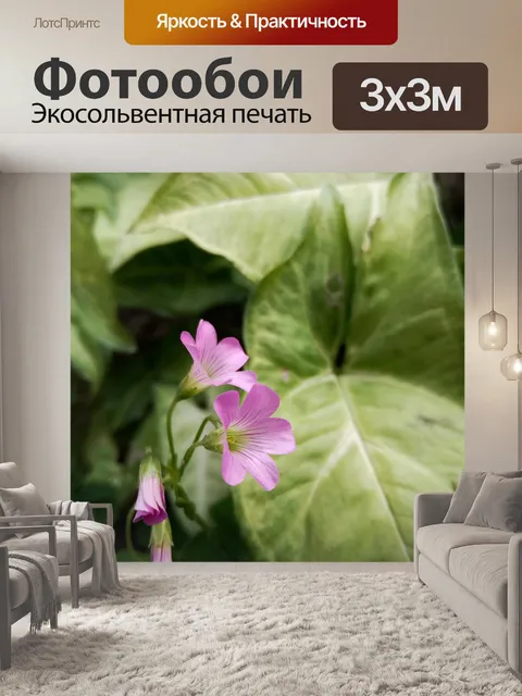 Фотообои Цветы