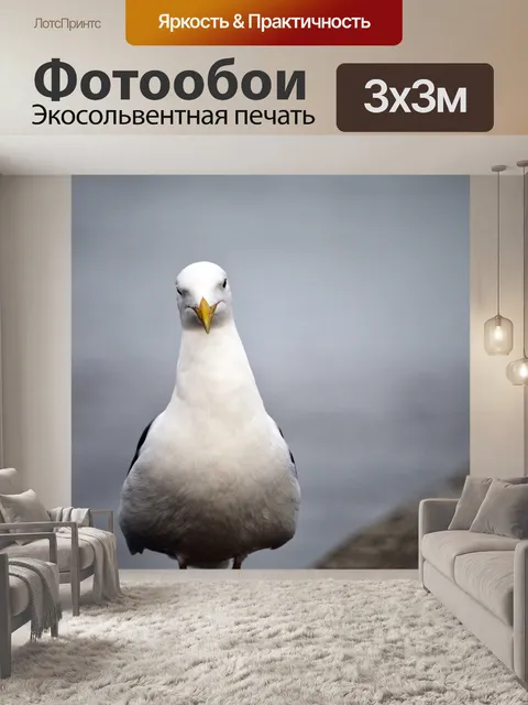 Фотообои чайка