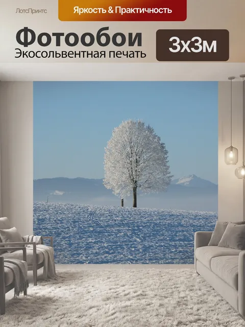 Фотообои Зима