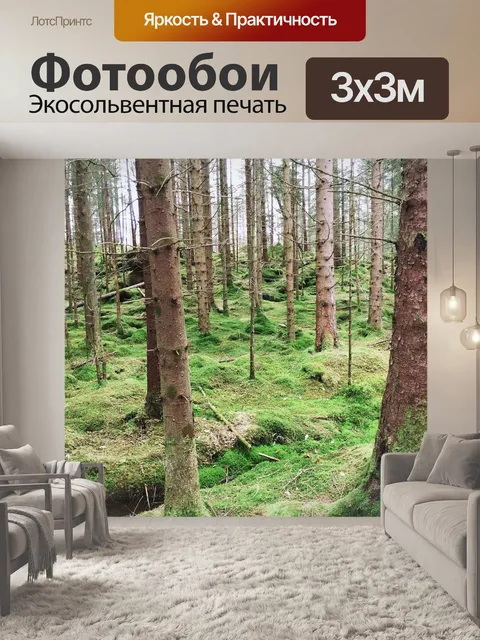 Фотообои Лес