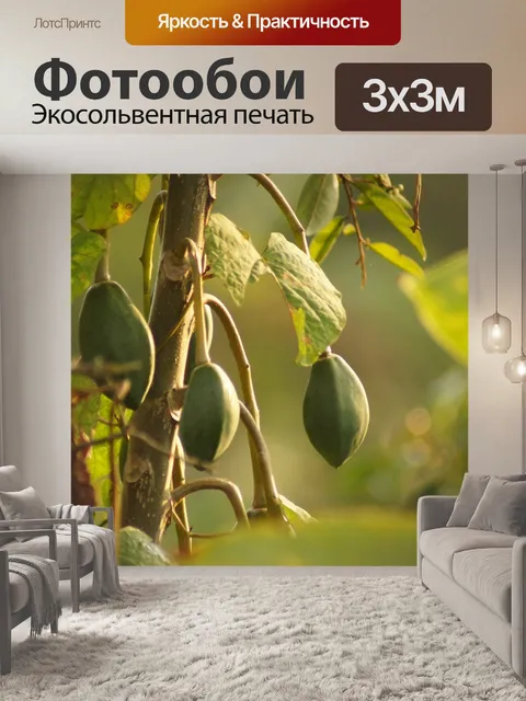 Фотообои Природа