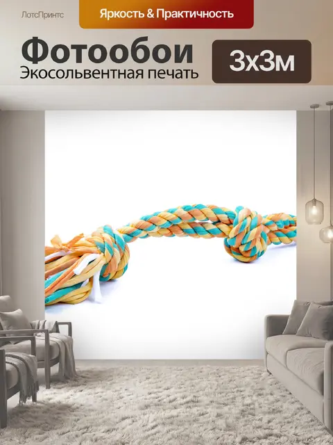 Фотообои Собака игрушки
