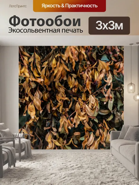 Фотообои Мертвое растение фон