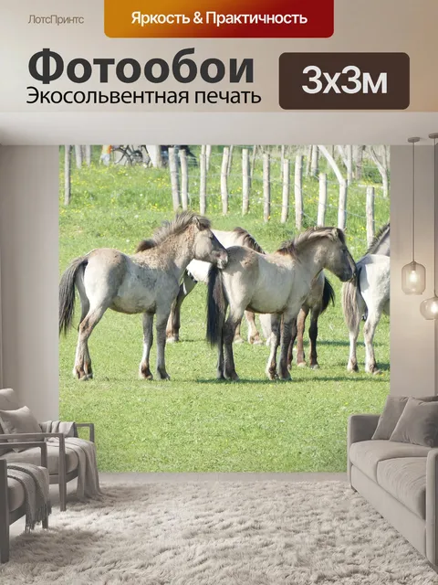 Фотообои Коник