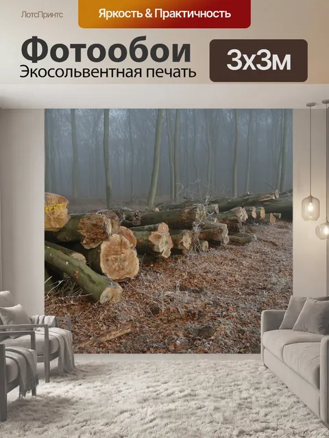 Фотообои Лес