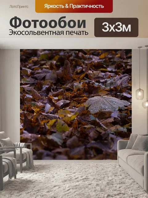 Фотообои Падение