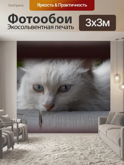 Фотообои Кошка
