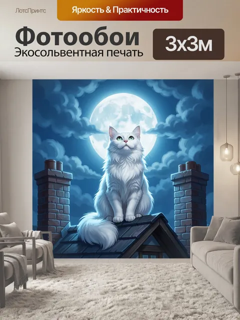 300 × 300 см · Экосольвентная печать