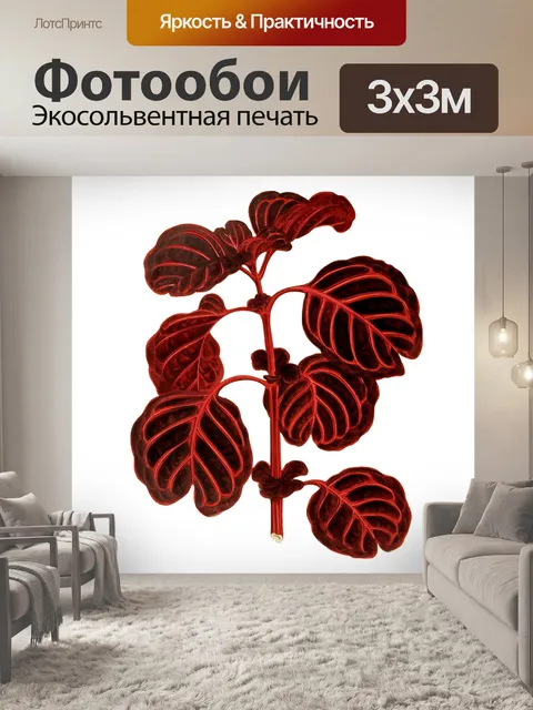 Фотообои Листва лист растение прозрачный